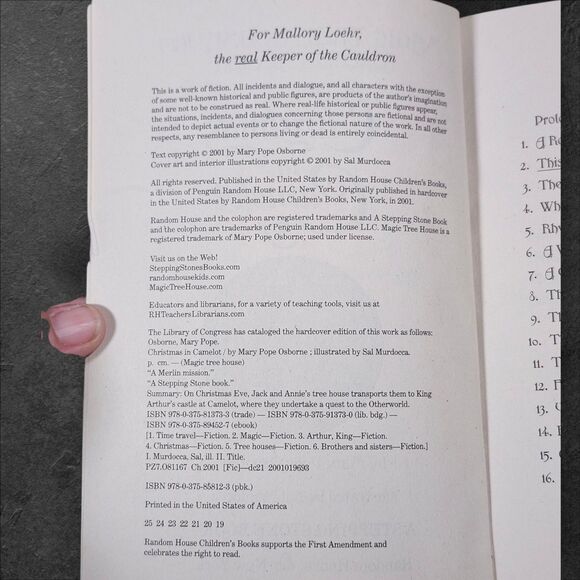 Magic Tree House Lot of 4 Dinosaurs Ghosts Wizards & Christmas Early Prints - Picture 6 of 9